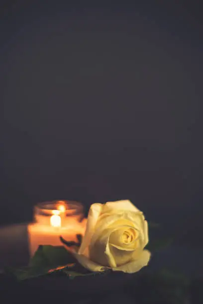 Burning Candle and White Rose for Rememberance