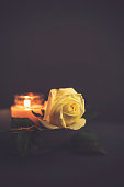 istock Burning Candle and White Rose for Rememberance 1344696129