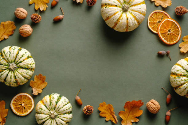 ハッピー感謝祭、秋秋のコンセプト。カボチャ、ドライオレンジ、ナッツ、ヴィンテージグリーンテーブルのオークの葉で作られたフレーム。フラットレイ、トップビュー、コピースペース - thanksgiving table setting autumn ストックフォトと画像