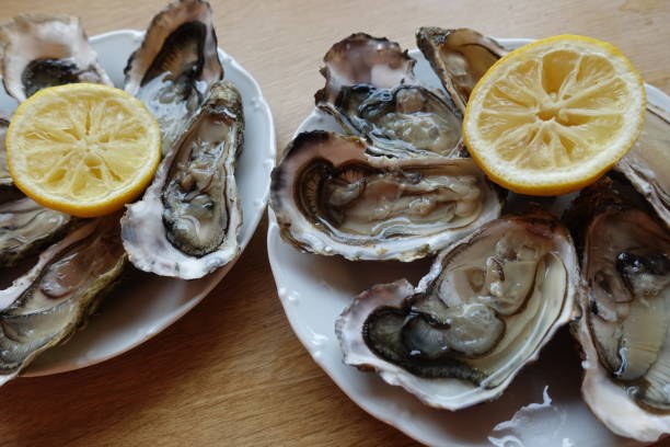 istock Open oysters placed on a dish with lemon  French gastronomy 1344707496