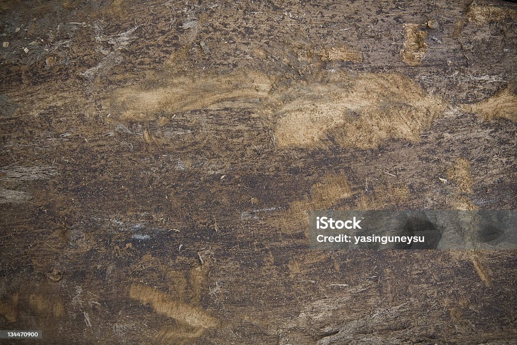 Sfondo legno natura - Foto stock royalty-free di Albero