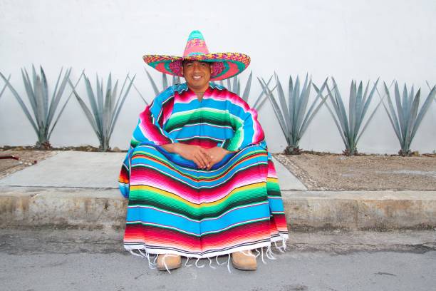 istock Mexican man sit sombrero serape and agave cactus 1344709830