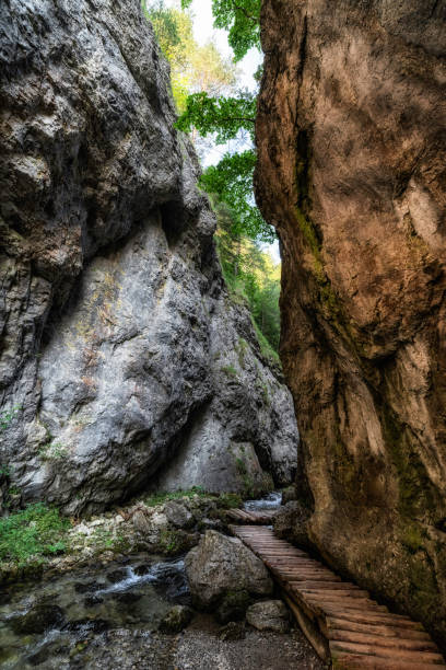 istock Walking trail in rocky canyon. Prosiecka valley in Slovakia 1344709921