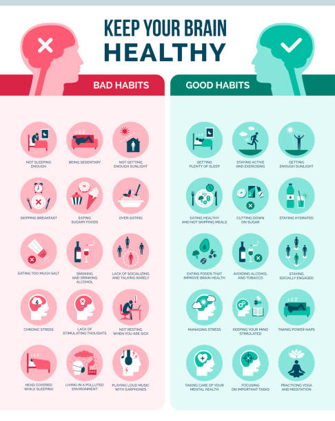 ilustraciones, imágenes clip art, dibujos animados e iconos de stock de infografía de mantén tu cerebro sano - routine