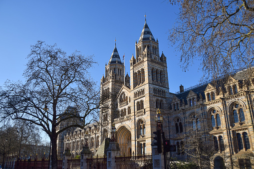 London, United Kingdom - February 26 2021: exterior view of the Natural History Museum in South Kensington on a clear day.