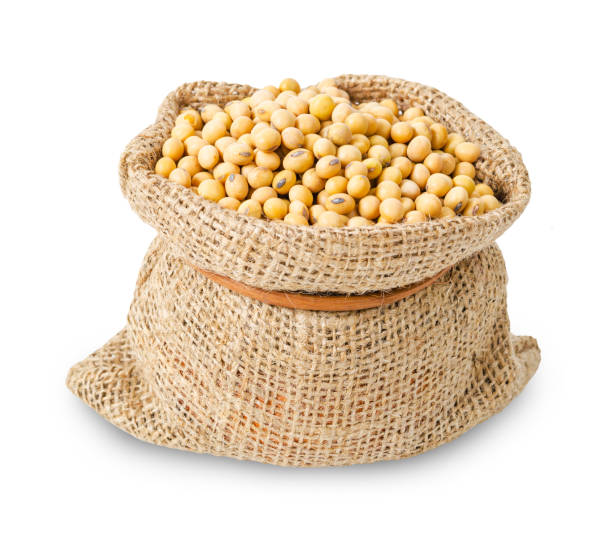 istock Dried soya beans in bag sack 1344719628