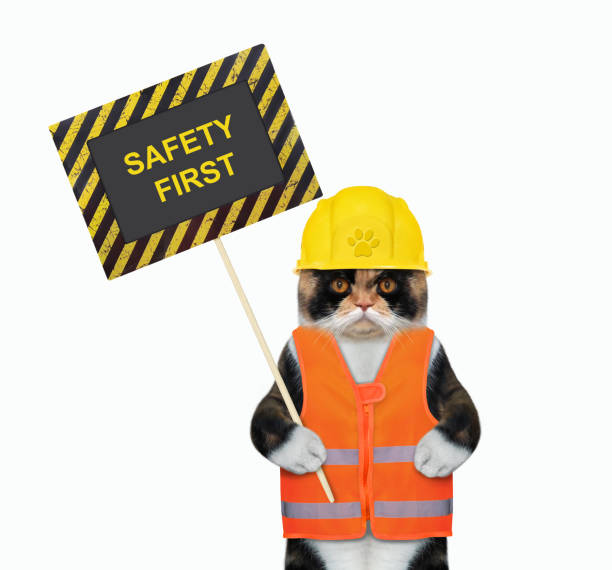 istock Cat colored holds poster safety first 2 1344721031