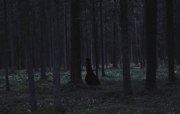 istock A mysterious man in a raincoat is walking through a misty forest. Mystical background. 1344721222