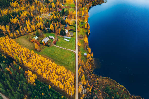 フィンランドの秋のカラフルな木と道路や秋の森の空中写真。 - car winding road highway autumn ストックフォトと画像