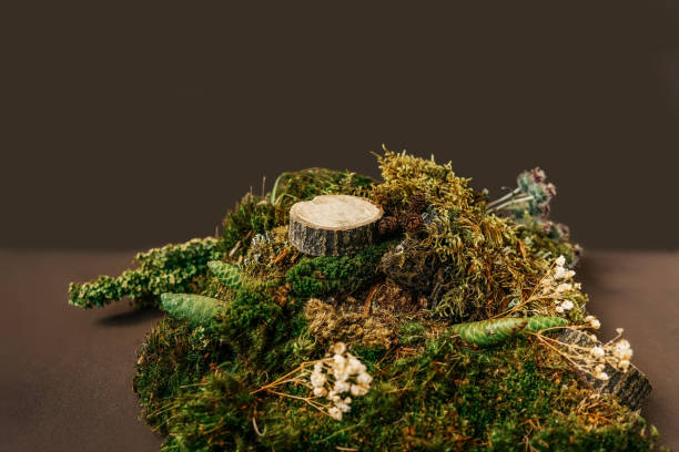 istock Natural podium from moss for cosmetic products. 1344723065