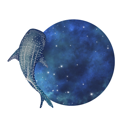 Whale shark with night sky circle banner watercolor illustration for decoration on summer night season.