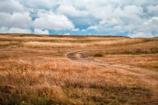 istock Landscape view of a path through a dry savanna against a cloudy sky 1344725848