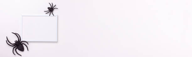 istock Flat lay banner of mockup template white frame and black horror spider on white background and copy space. Holiday autumn concept backdrop 1344728360