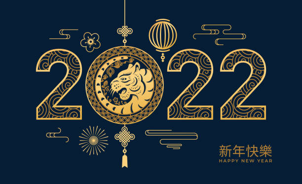 ilustrações, clipart, desenhos animados e ícones de cny 2022 feliz tradução de texto chinês de ano novo, gato tigre dourado, lanternas e nuvens, arranjos de flores no fundo azul. decorações de festivais lunares vetoriais, mascotes de férias da primavera na china - ano novo