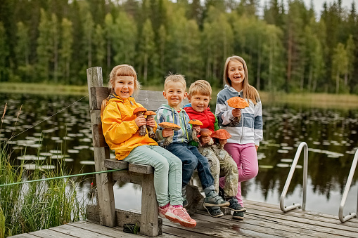 four happy smiling children are sitting on the pier of the lake and holding forest mushrooms in their hands on the background of the forest on a summer day.