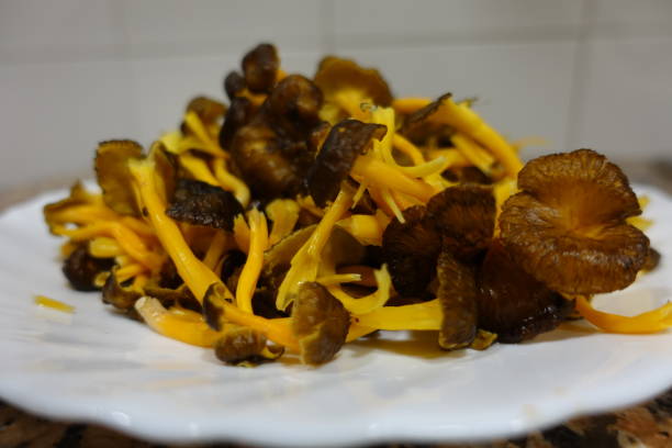 istock Cantharellus lutescens - Camagroc 1344730579