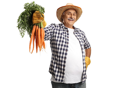 Smiling mature farmer with a straw hat holding a bunch of carrots isolated on white background