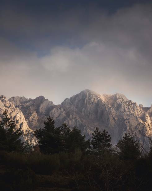 istock Some high mountains with a line of trees in the foreground 1344733222