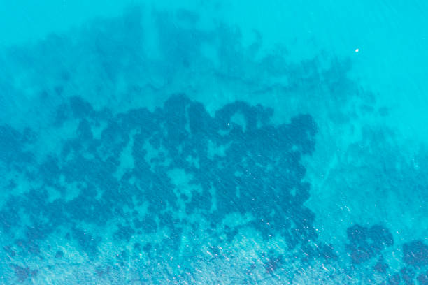 istock Aerial view of the ocean surface 1344736107