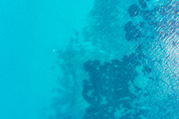 istock Aerial view of the ocean surface 1344736117