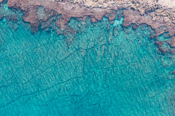 istock Aerial view of waves splashing on beach 1344736204