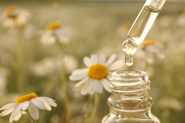istock Dripping essential oil from pipette into bottle in chamomile field, closeup. Space for text 1344736220