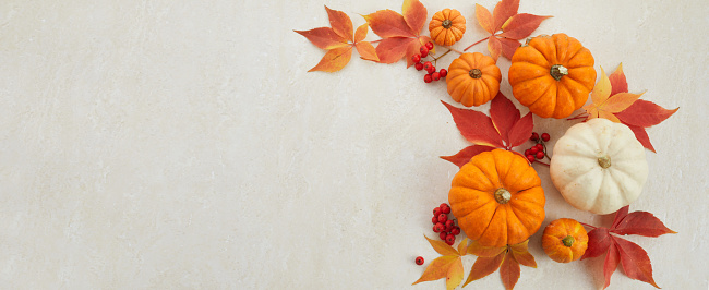 Autumn framework from pumpkins, berries and leaves on a travertine background. Concept of Thanksgiving day or Halloween
