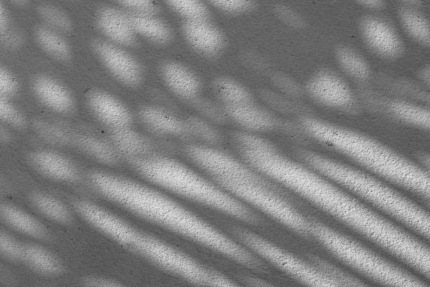 istock Black and White abstract background texture of shadows leaf on a concrete wall. 1344744942