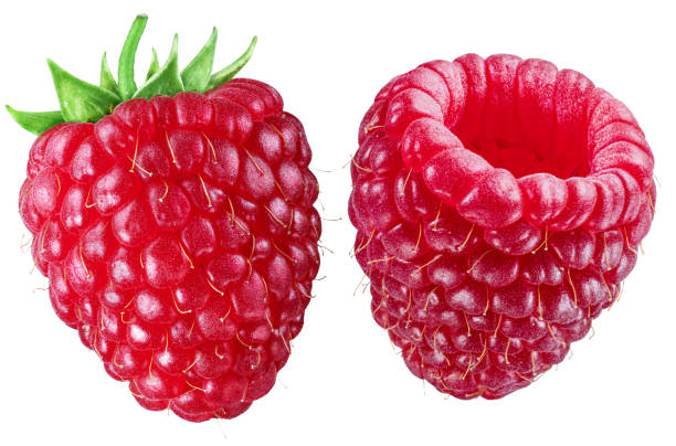 istock Two perfect red-fruited raspberries on white background. File contains clipping path. 1344745210