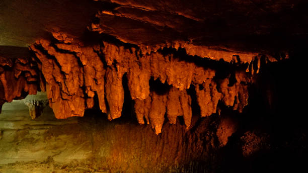 Banyan Tree formations in Belum Caves, Kolimigundla, Andhra Pradesh, India. Stalactites of limestone deposits hanging from the ceiling. Belum caves are the largest and longest cave system open to the public on the Indian subcontinent formaciones de árboles banyan en las cuevas de belum, kolimigundla, andhra pradesh, india. estalactitas de depósitos de piedra caliza que cuelgan del techo. las cuevas de belum son el sistema de cuevas más grande y más largo abierto al público en el s
