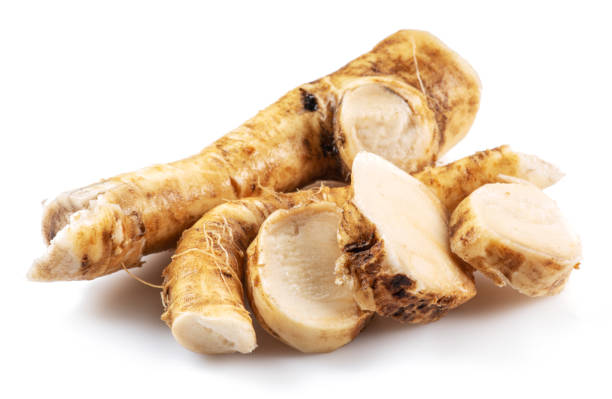 istock Horseradish roots close up isolated on white background. 1344745246