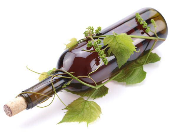 бутылка вина в лозе на белом фоне - wine vinegar стоковые фото и изображения