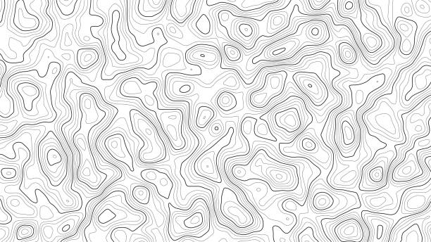 wektorowe tło mapy topograficznej konturu. mapa topografii i geografii siatka abstrakcyjne tło. koncepcja biznesowa. ilustracja wektorowa - compass travel symbol planning stock illustrations