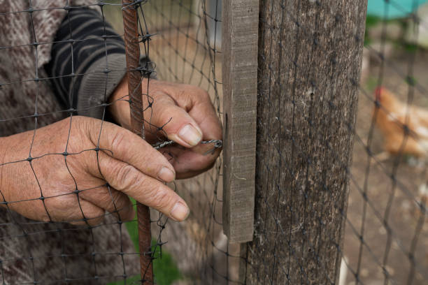 Close up image of a local fisherman from the caribbean island of nevis making a fish pot for fishing out in the caribbean sea. He is using pliers to cut and shape wire around freshly cut cinnamon sticks and a wire mesh
