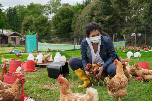 Latina peasant woman from Bogota Colombia between 20 and 29 years old, feeds the chickens while they are locked in the barn and feeds them with organic products