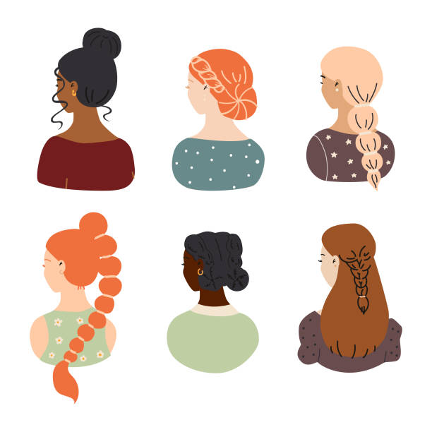 우아한 헤어 스타일을 가진 젊은 여성의 집합. - human hair ponytail women back stock illustrations