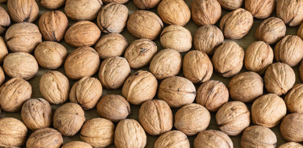 istock Background of healthy walnuts in shell. 1344752163