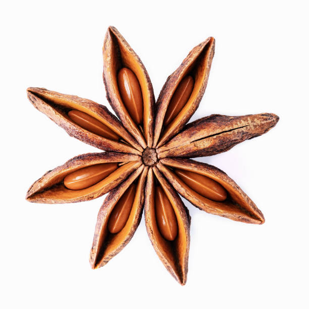 istock Single Chinese star anise isolated on white background. 1344754208
