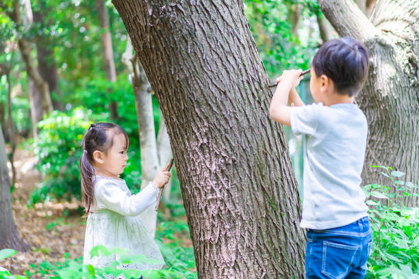 istock Children playing in the forest 1344754300