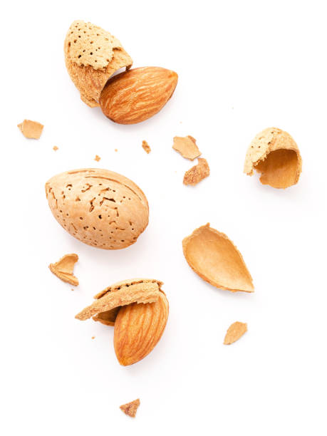 istock Close up group of almonds nut with shell  and cracked almonds shell isolated on white background. 1344754438