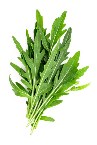 istock Arugula leaves isolated on white background. Closeup fresh wild rocket leaves on white background top view. 1344755119