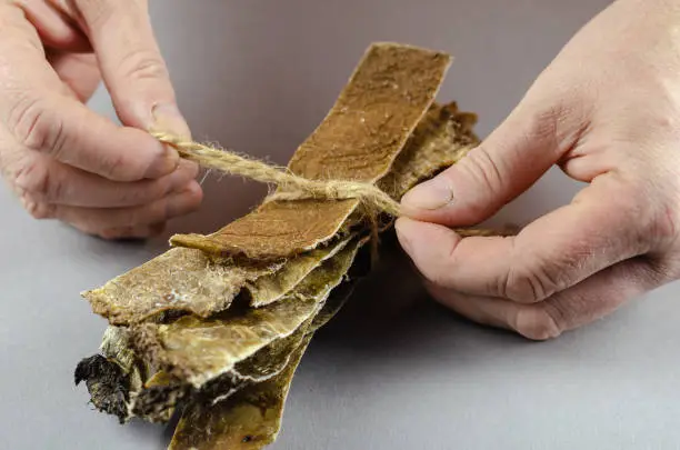 Photo of Two hands tie twine to dog treats. Long dried plates of beef sto