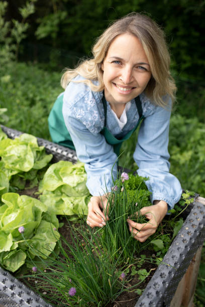istock young blonde woman harvesting chives 1344761176