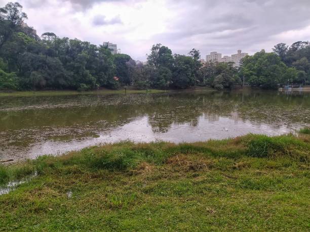 istock Aclimacao park overview from across the lake 1344763971