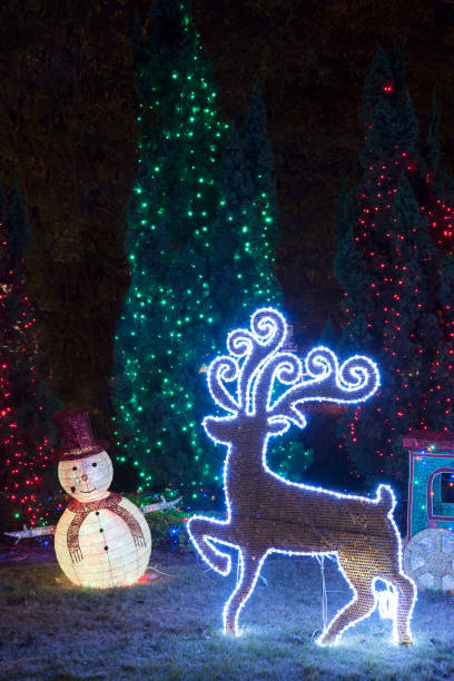 istock LED illuminated Christmas decoration and Christmas tree in backyard garden 1344764138