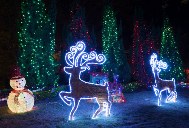 LED illuminated Christmas decoration and Christmas tree in backyard garden