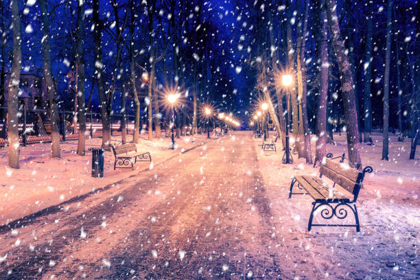istock Winter night park with lanterns, benches and trees covered with a snow. 1344765387