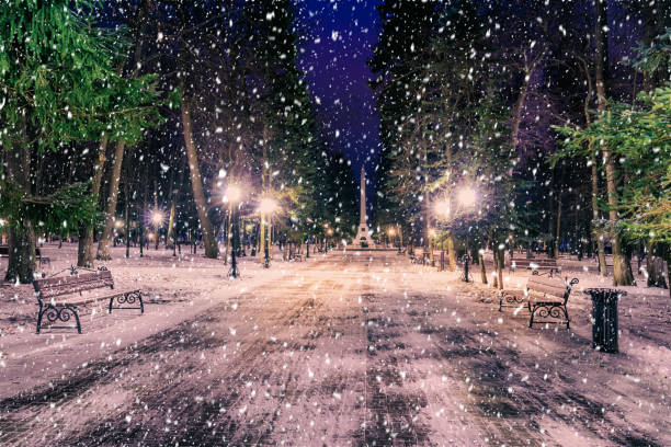 istock Winter night park with lanterns, benches and trees covered with a snow. 1344765445