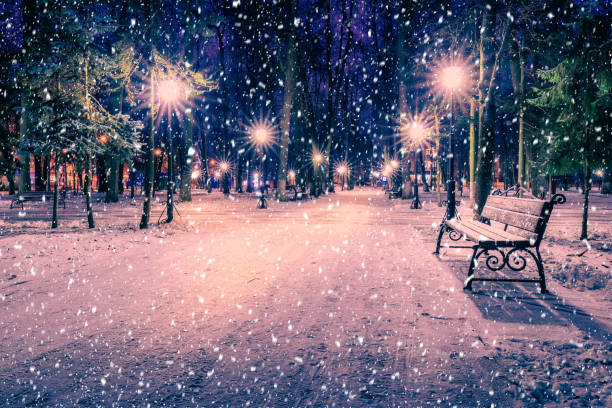 istock Winter night park with lanterns, benches and trees covered with a snow. 1344765448