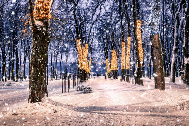 istock Winter night park with christmas decorations, lights, pavement covered with snow and trees. 1344765471